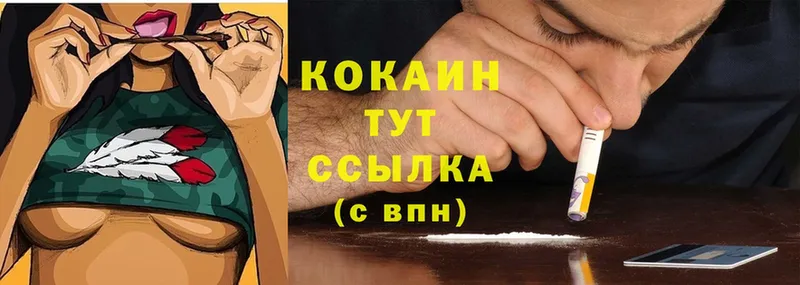 Cocaine FishScale  ссылка на мегу вход  Ленинск-Кузнецкий 